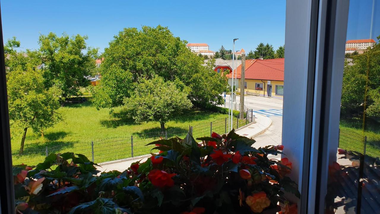 Apartment Luna Ptuj Zewnętrze zdjęcie