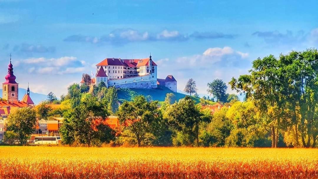 Apartment Luna Ptuj Zewnętrze zdjęcie