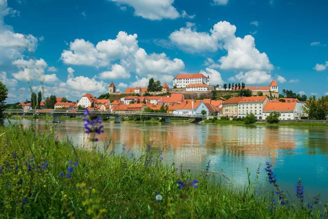 Apartment Luna Ptuj Zewnętrze zdjęcie