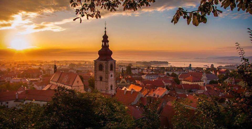 Apartment Luna Ptuj Zewnętrze zdjęcie